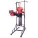 Комбінований станок inSPORTline Power Tower X150 D-001134 фото 3