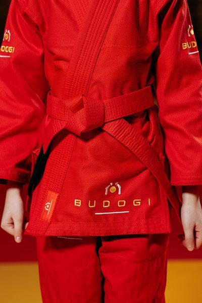 Дитяче кімоно для дівчаток, грепплінг, TM BUDOGI, щільність 350 гр/м.кв D-002825 фото