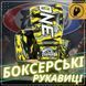 Боксерські рукавиці Fairtex BGV-ONE X STBG (натуральна шкіра) 14 унцій (бинти в комплекті) D-000084 фото 2